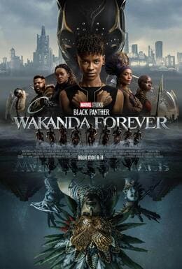 pelicula black panther - pantera negra 